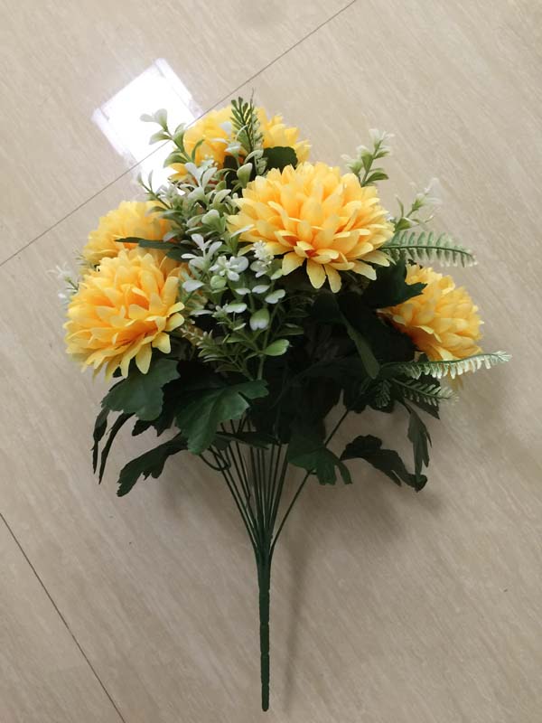 Chrysanthemum