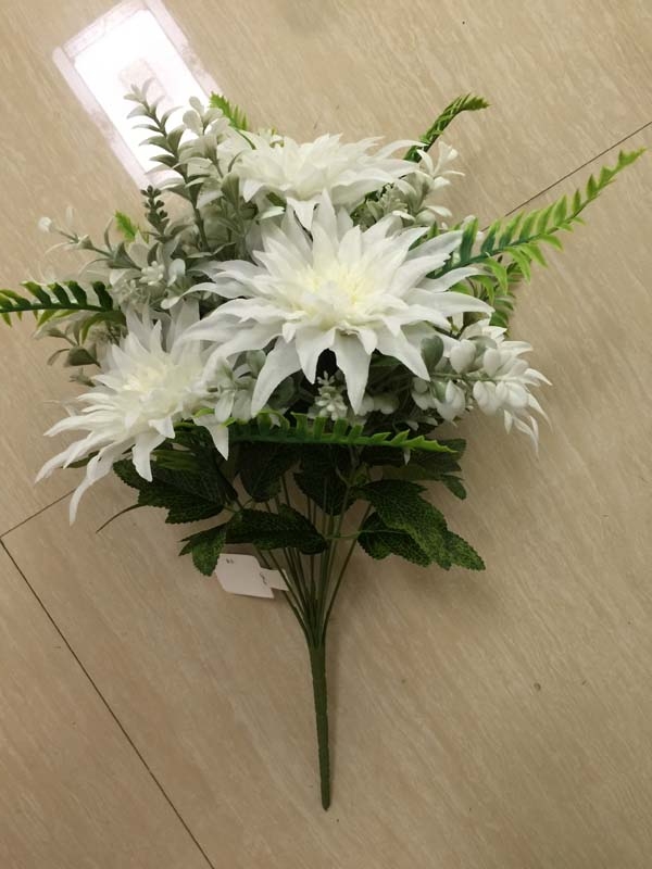 Chrysanthemum