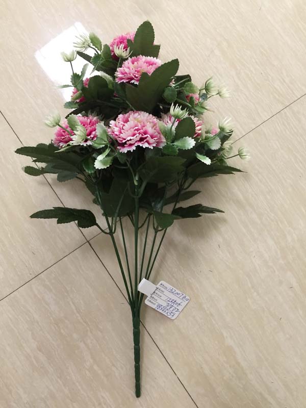 Chrysanthemum