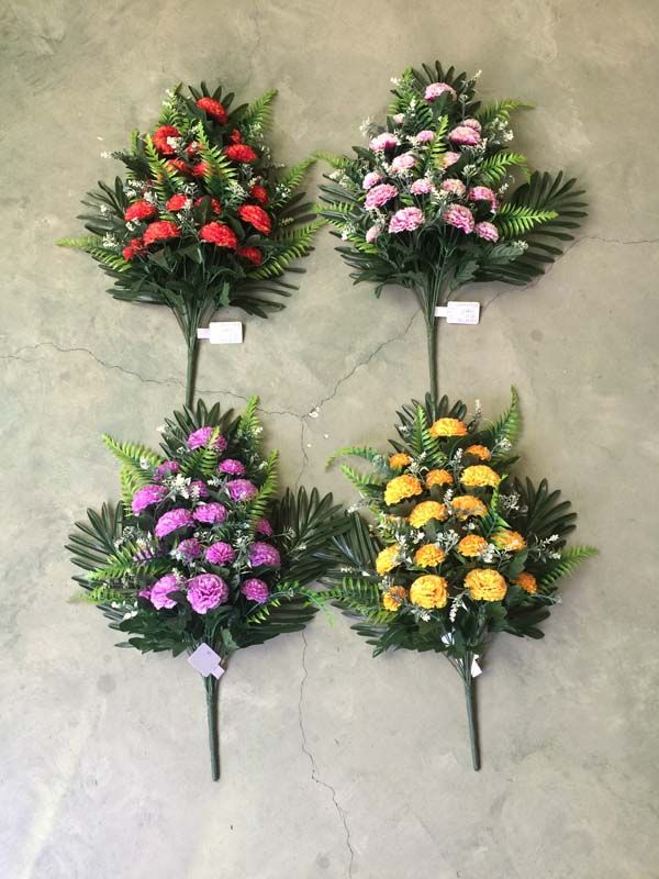 Chrysanthemum