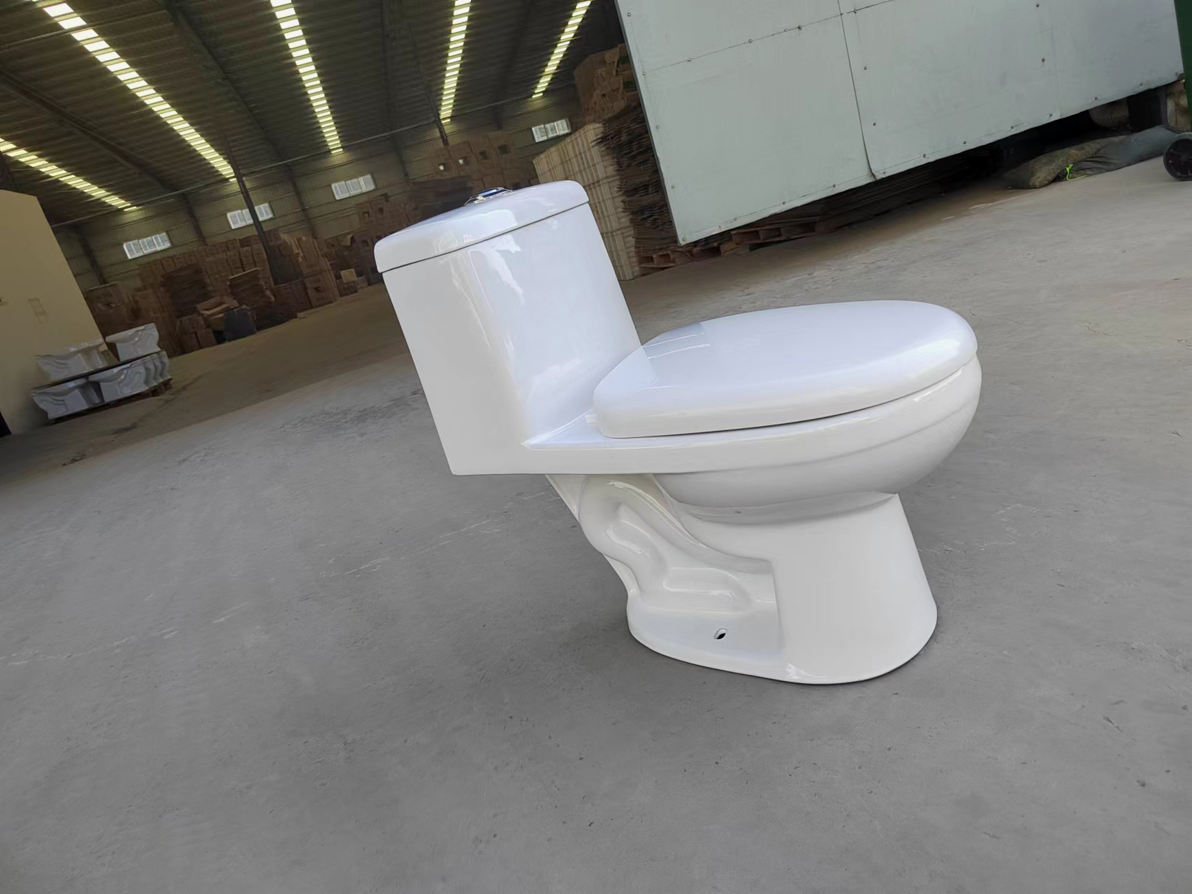 1012 One-piece S-trap Toilet