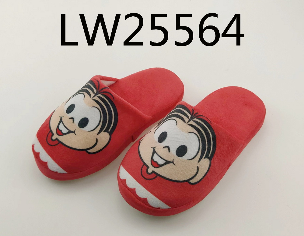 indoor ladies slippers