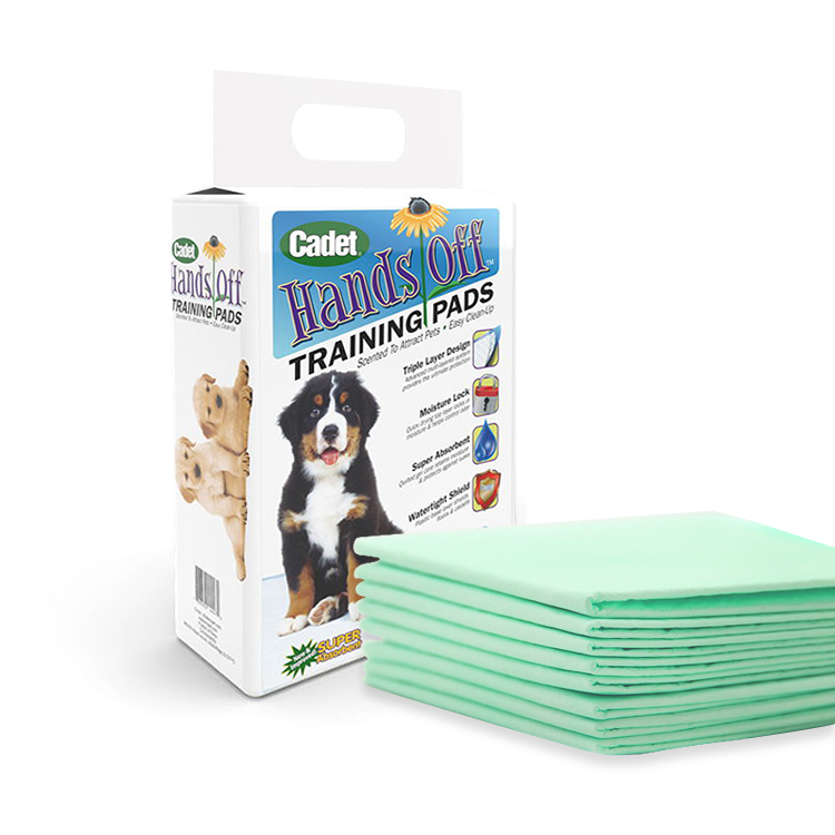 Green Puppy Training Pad 60x60cm-50CT