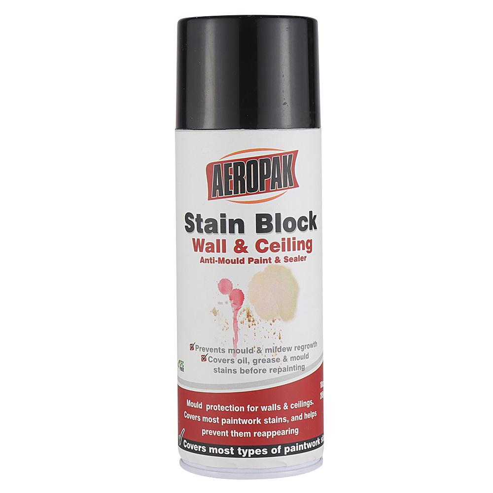 Aeropak 400ml Aerosol Anti Mould Stain Block Interior Wall Ceiling Renew Paint