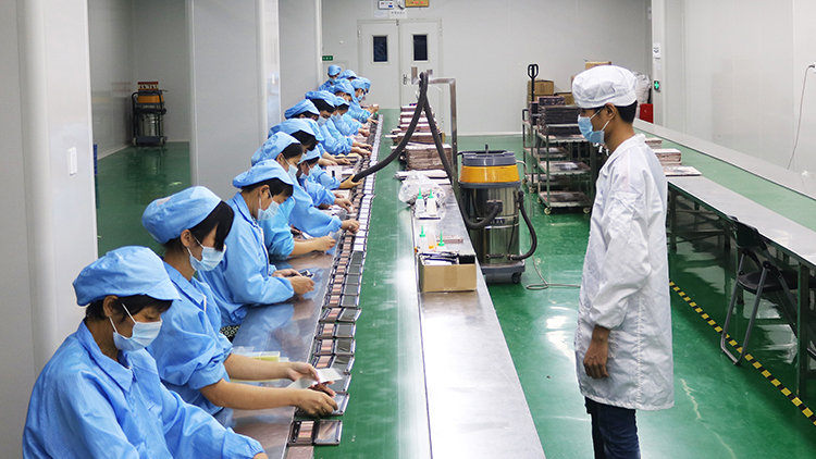 Guangzhou Lidan Lu Cosmetics Co., Ltd. – blush 3