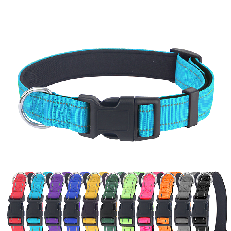 Reflective Dog Collar