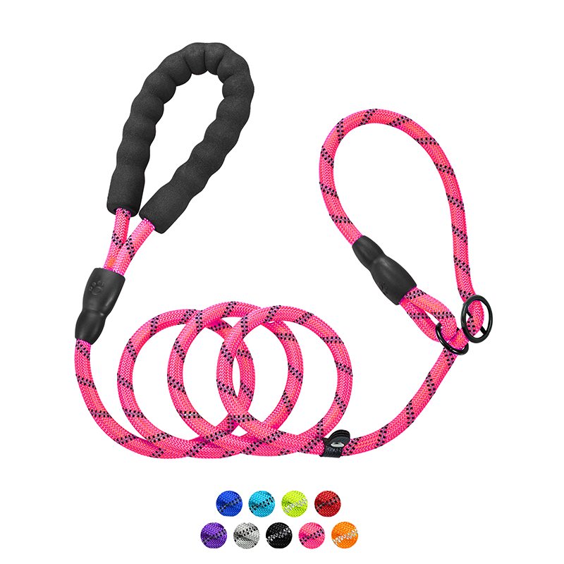 Slip Lead Dog Leash