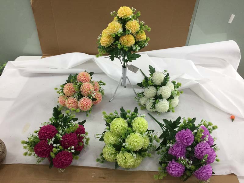 Chrysanthemum