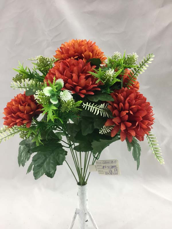 Chrysanthemum