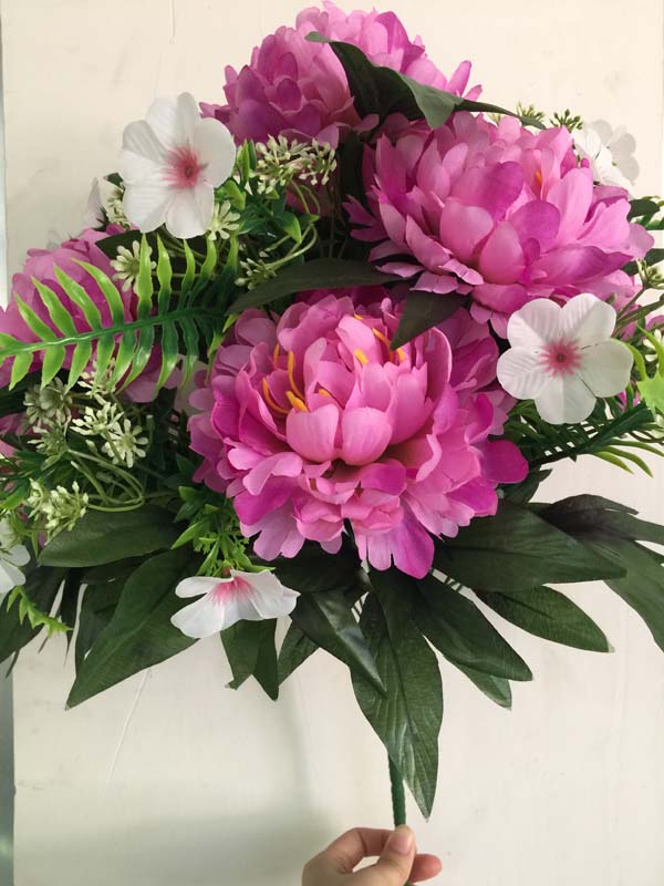 Peony