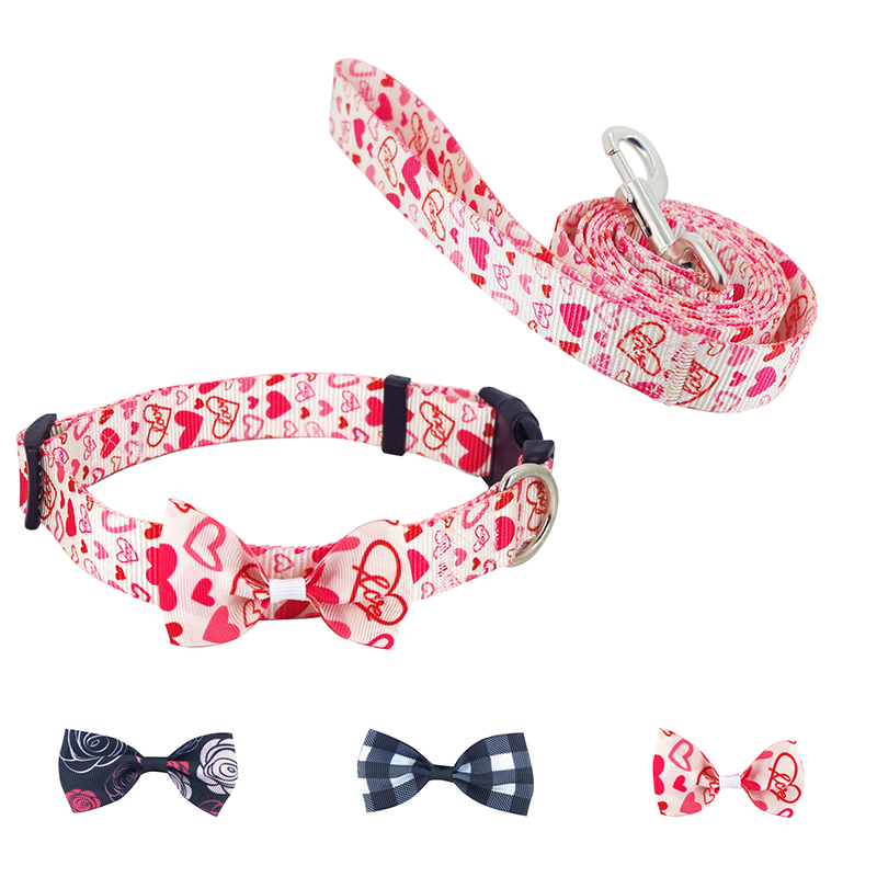 Dog Collar and Leash Set