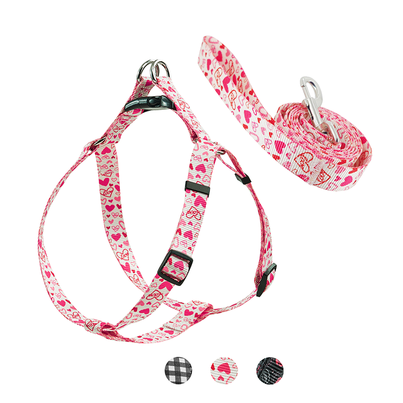 Heart Pattern Dog Harness Set