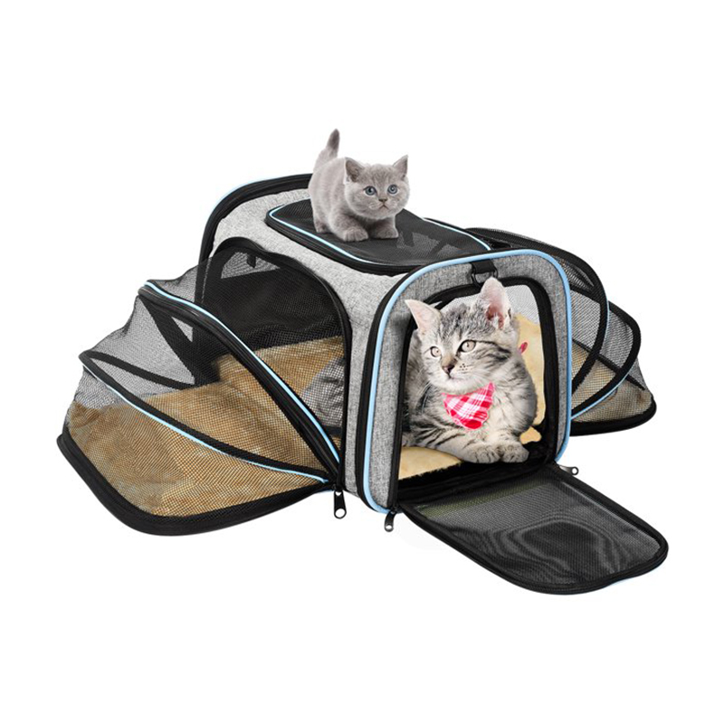 Cat bag