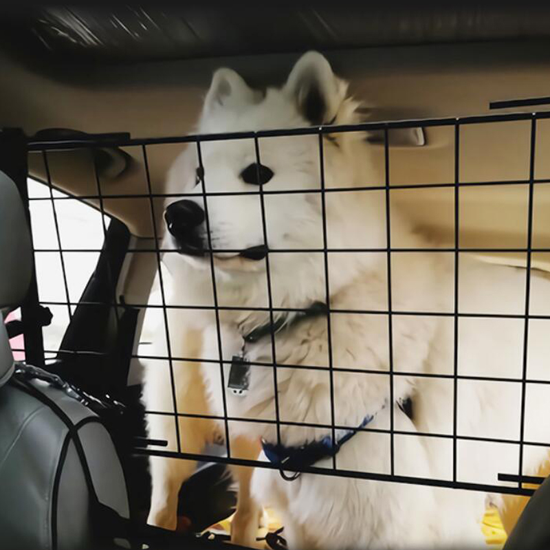 car fence
