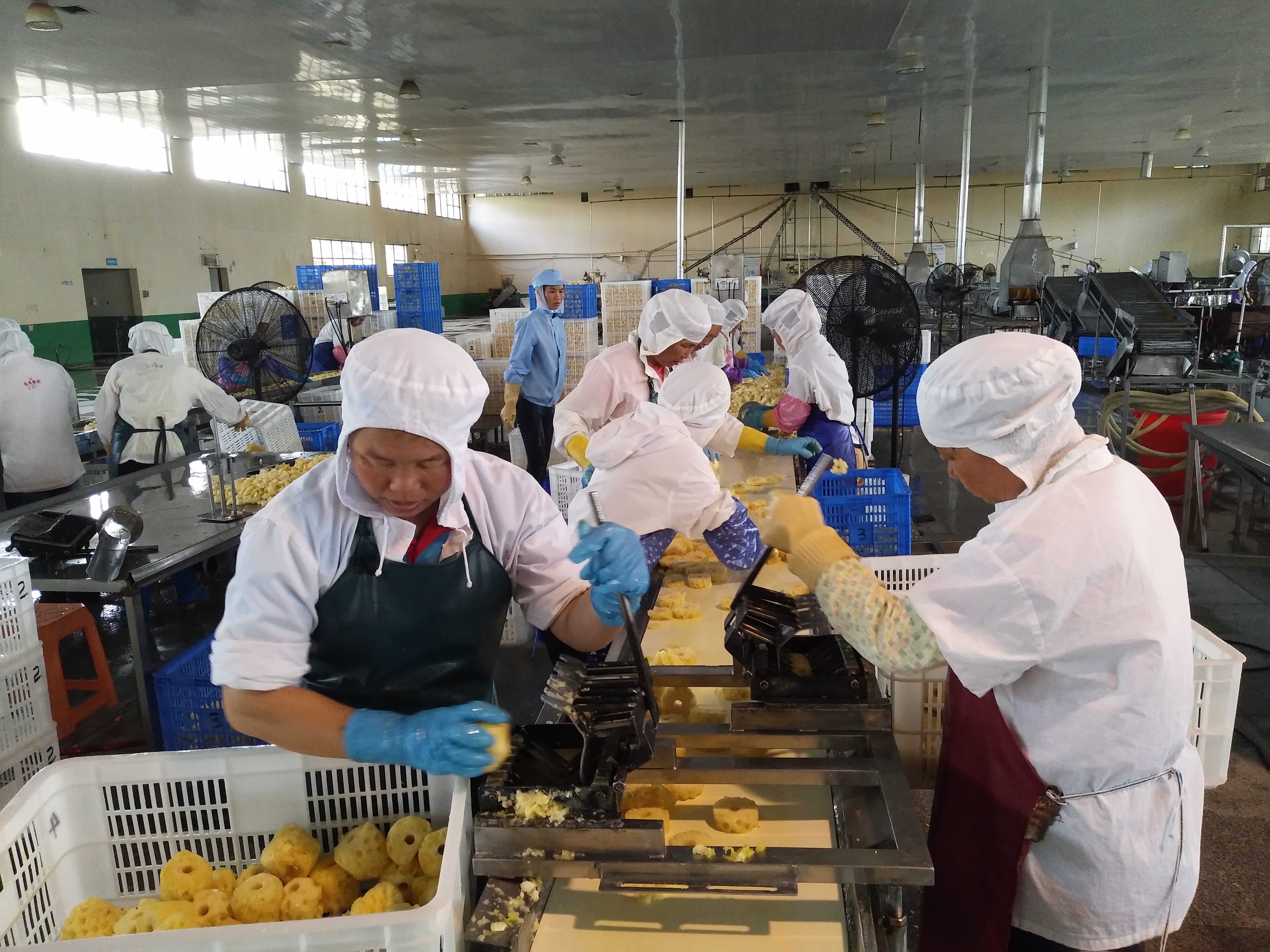 Guangxi Liangliang Food Group Co., Ltd. – Photos produits 3