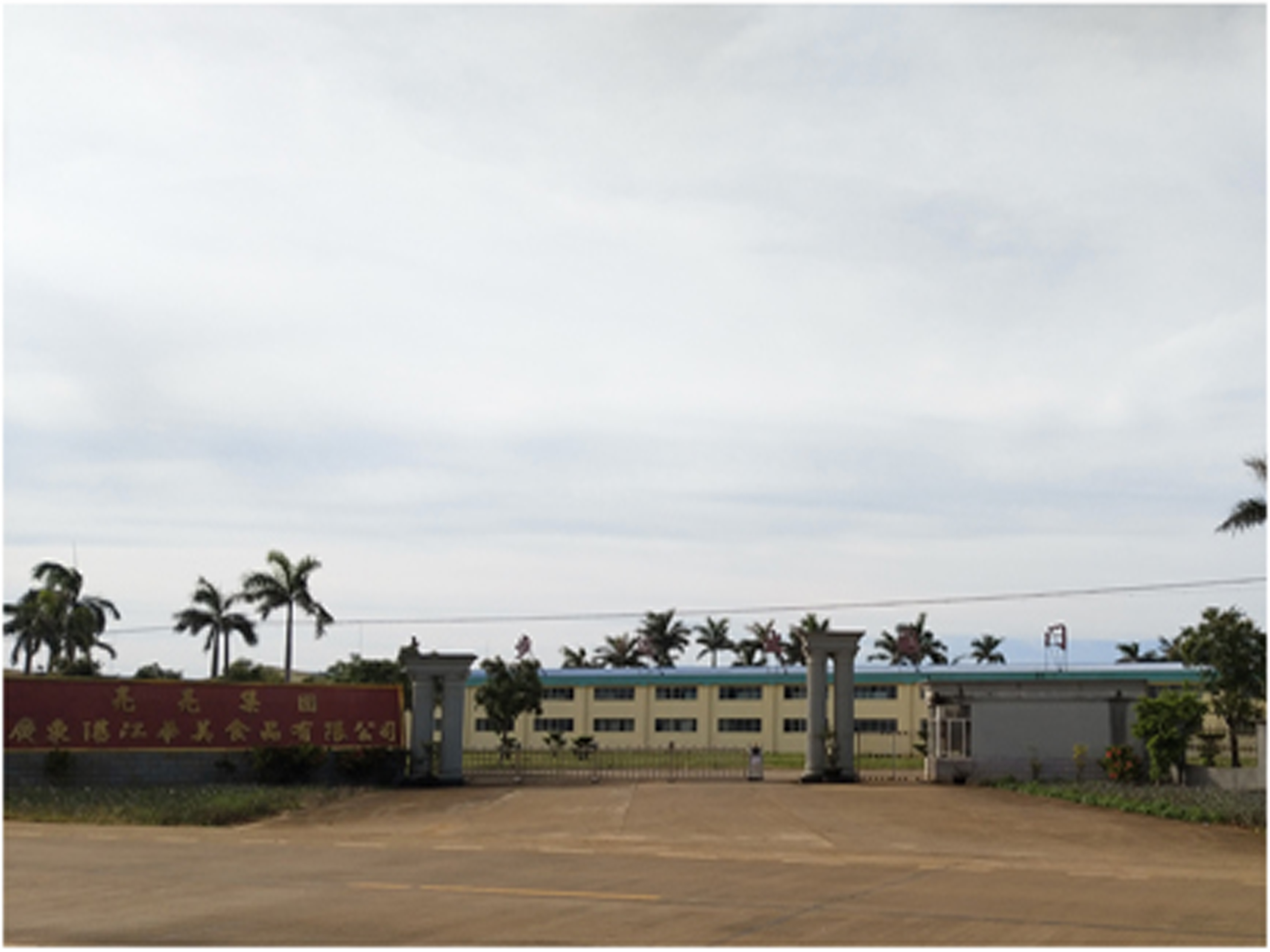 Guangxi Liangliang Food Group Co., Ltd. – canned fruit 1