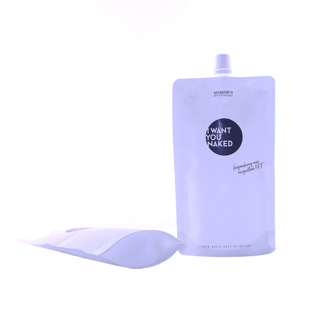 Stand up pouch with spout