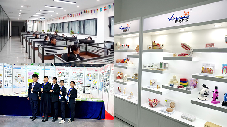 Xinxiang Weike Scientific and Educational Instruments Co., Ltd. – Product photos 3