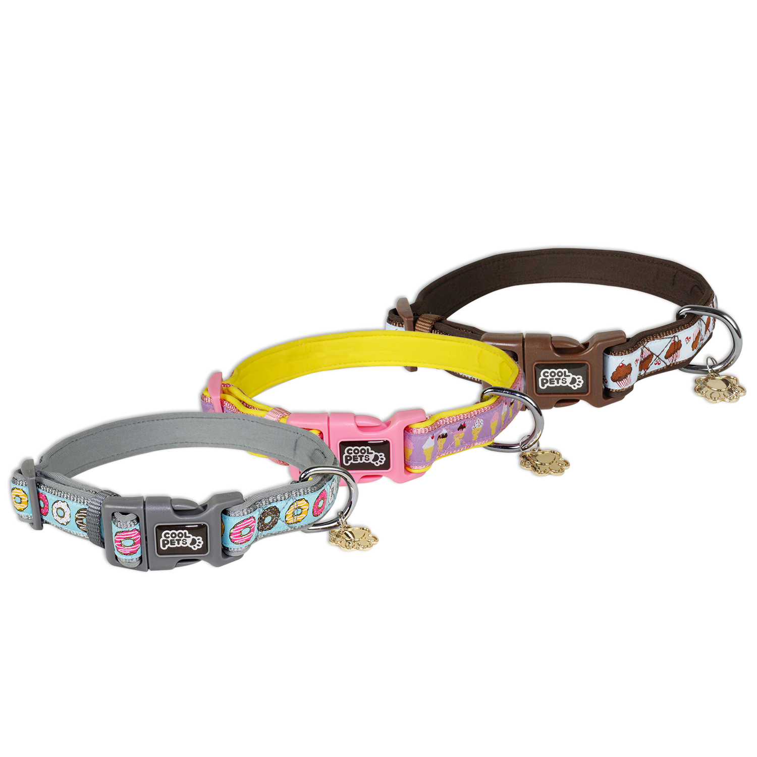 Dog Collar & Leash