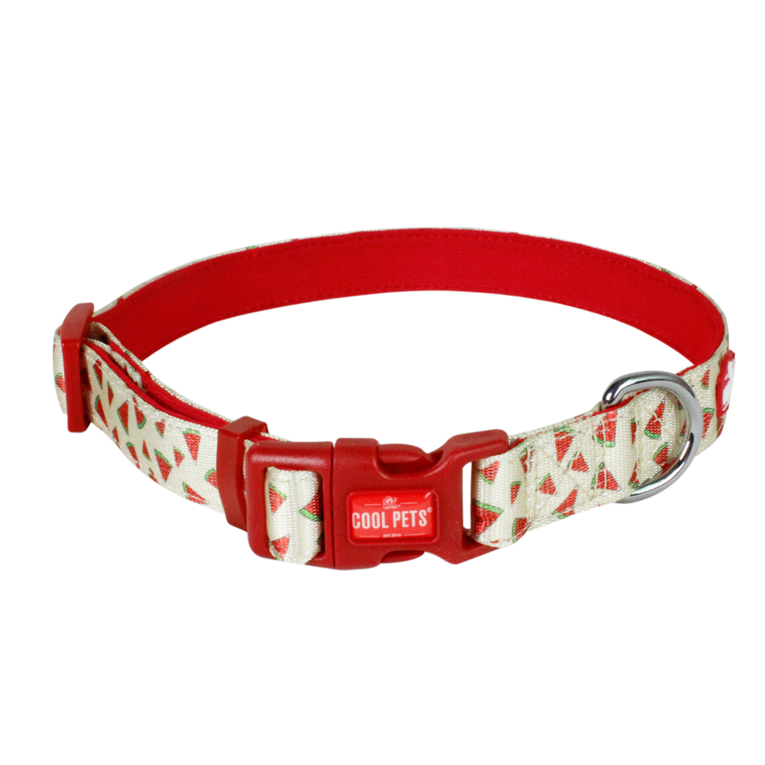 Dog Collar & Leash