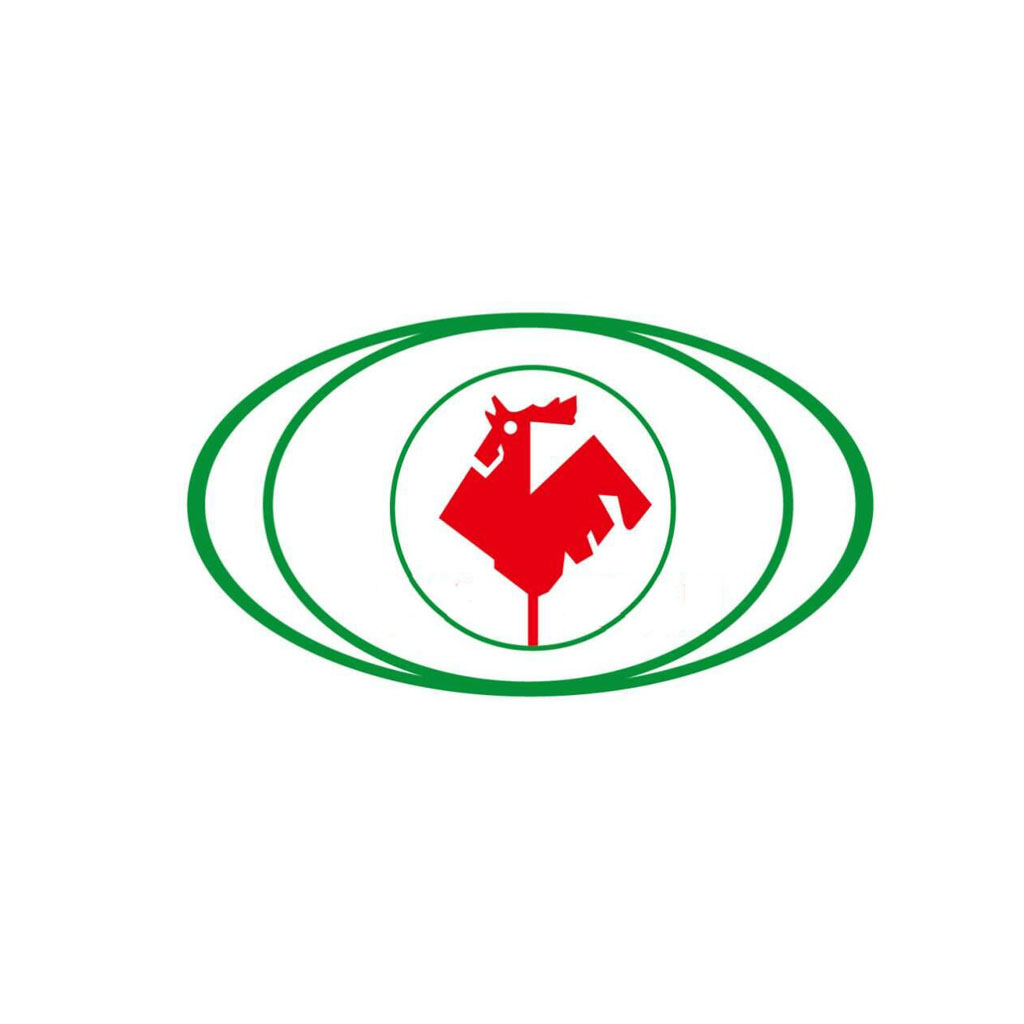 Anhui Hengchang New Materials Co., Ltd.
