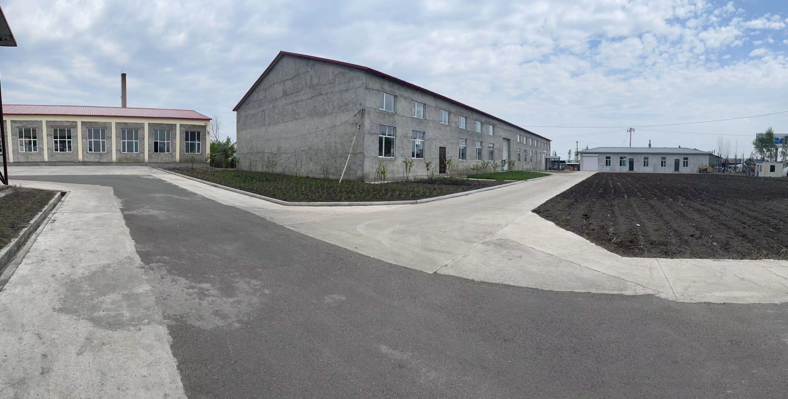 Qitaihe Huapu Timber Co., Ltd. – solid wood board 1