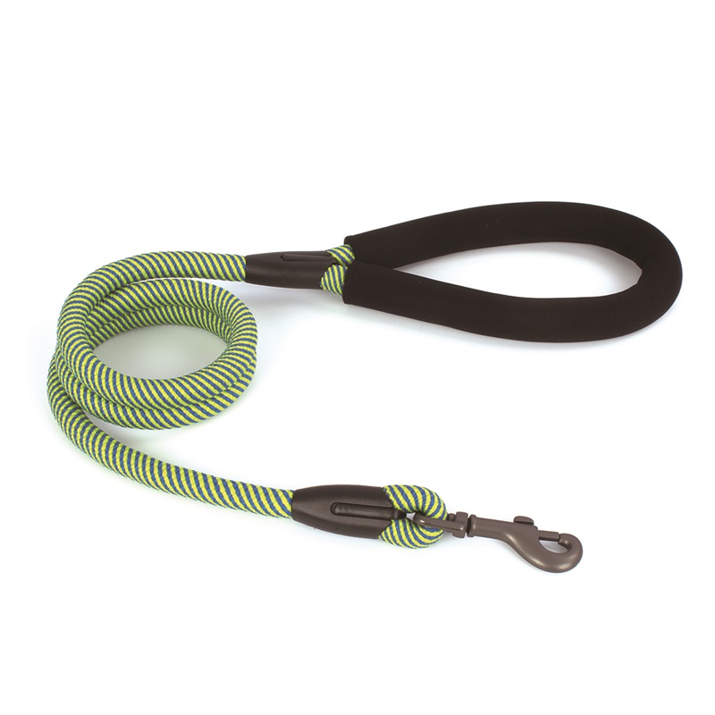 Dog Leash