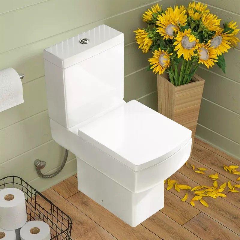 Washdown toilet