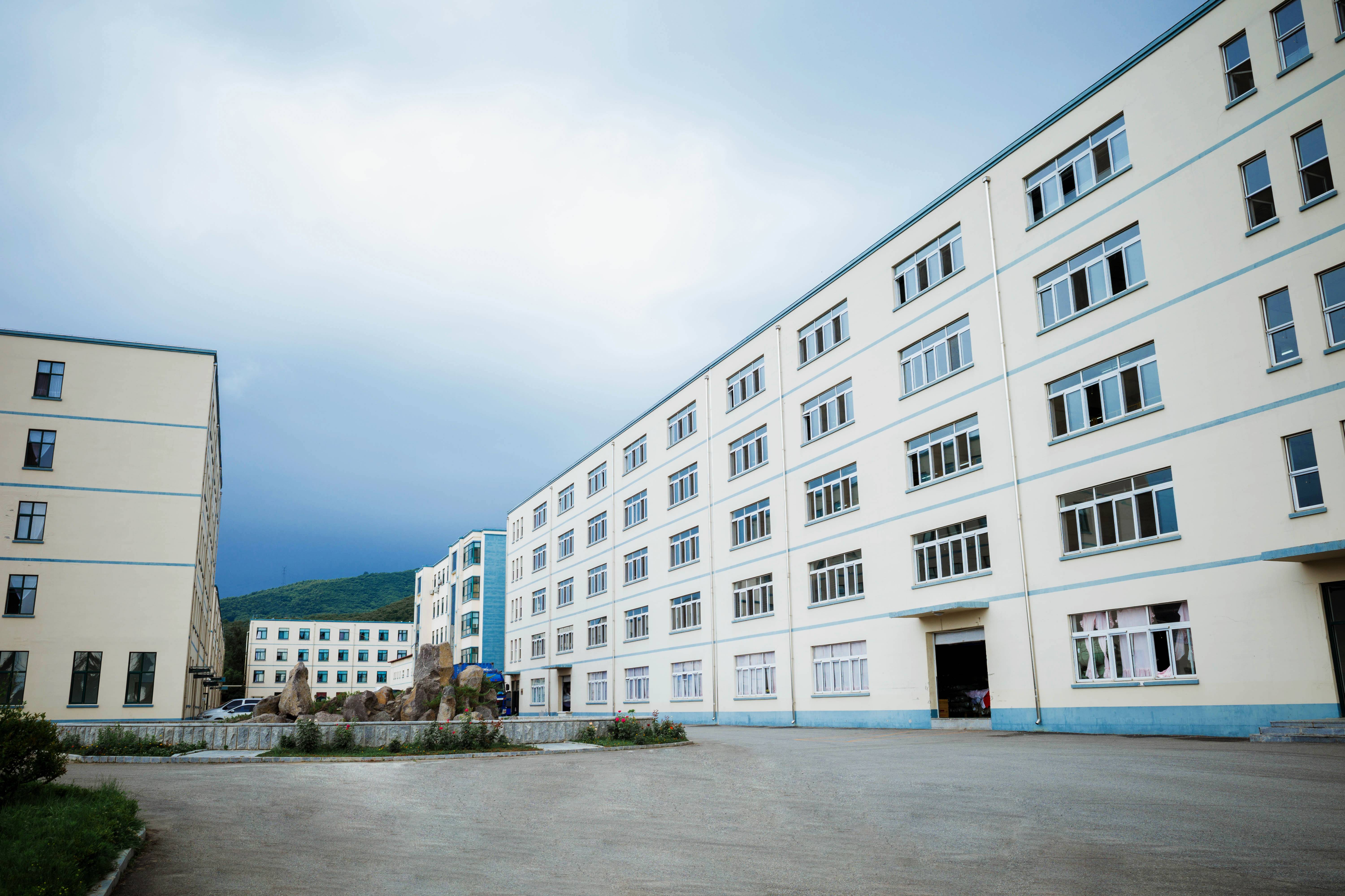 Dandong Languang Clothing Co., Ltd. – motor eléctrico 1