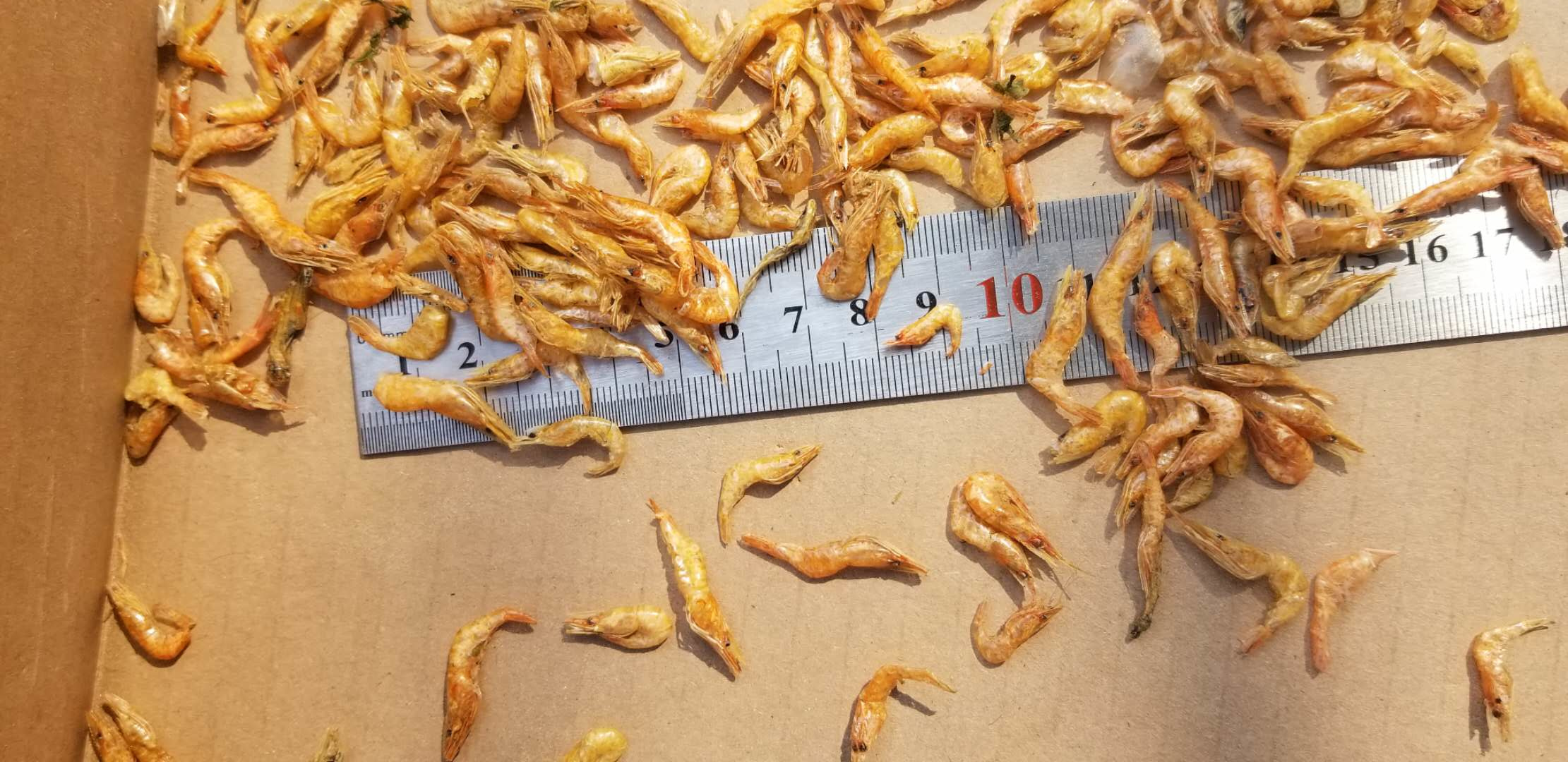 TAIAN PENGFEI PET FOOD CO.,LTD – raqueta de tenis 2