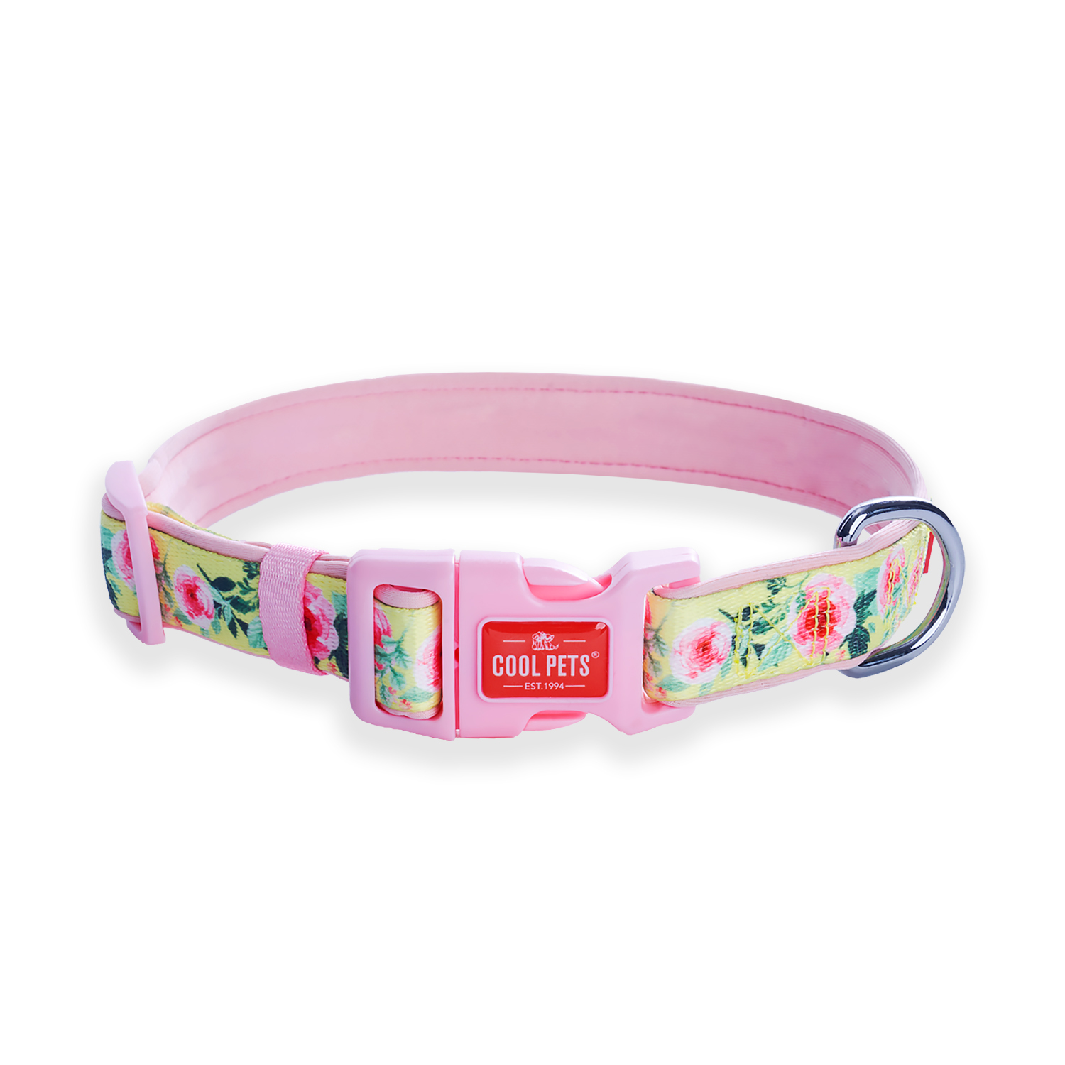 Dog Collar and Leash