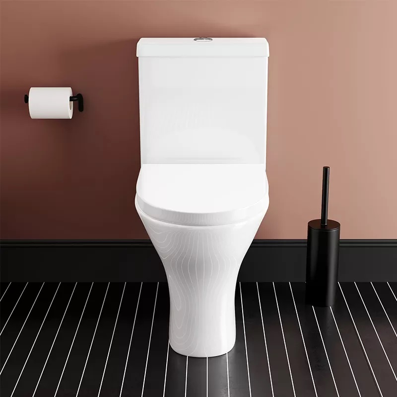 P trap toilet