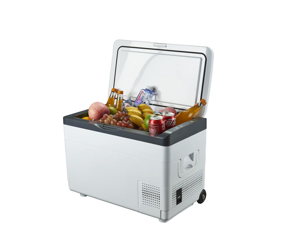 AC 110-220V DC 12/24V Mini Bar Outdoor Camping With Wheels Portable Compressor Car Refrigerator