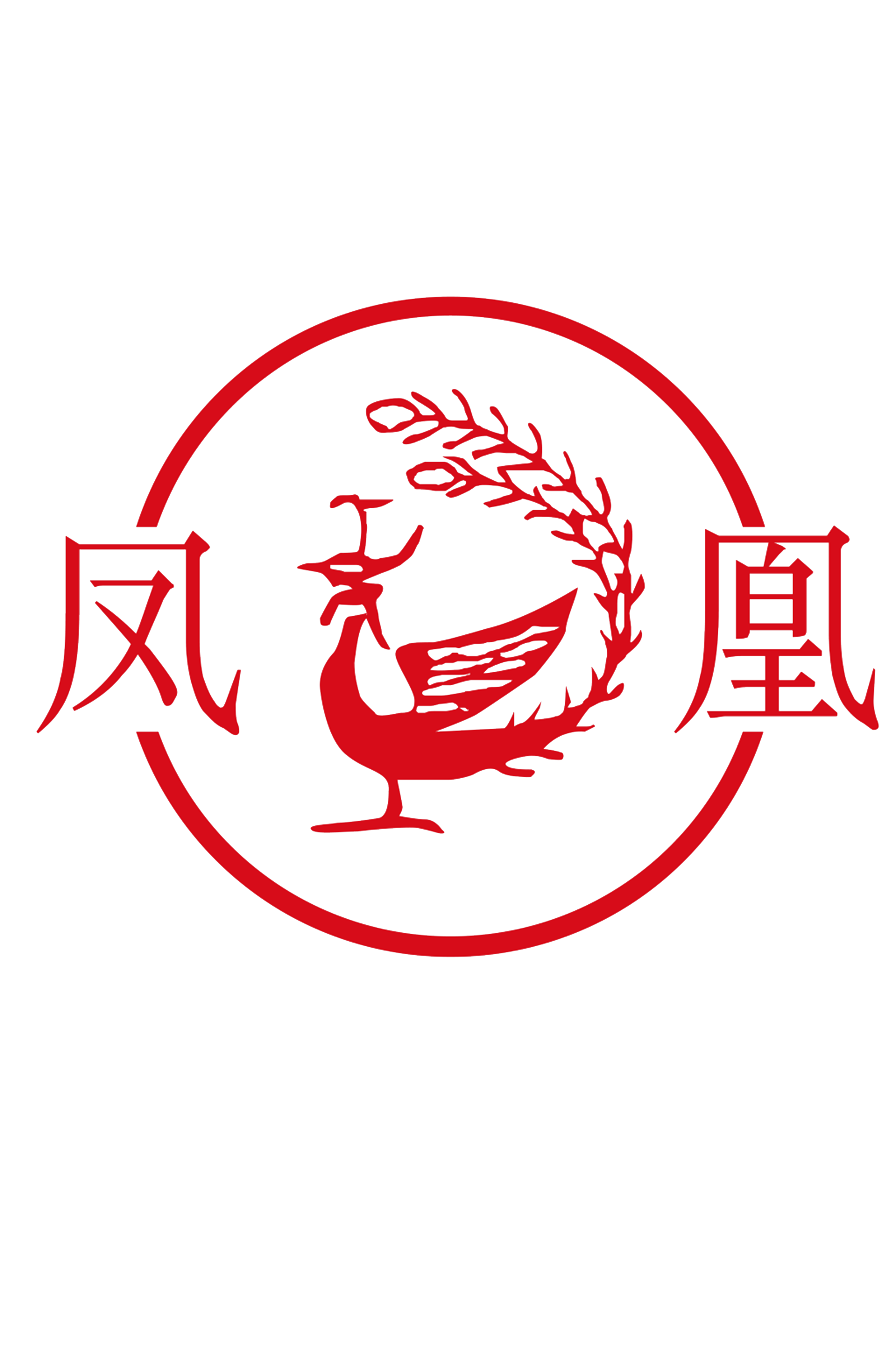 Phoenix Electric Power Co., Ltd.
