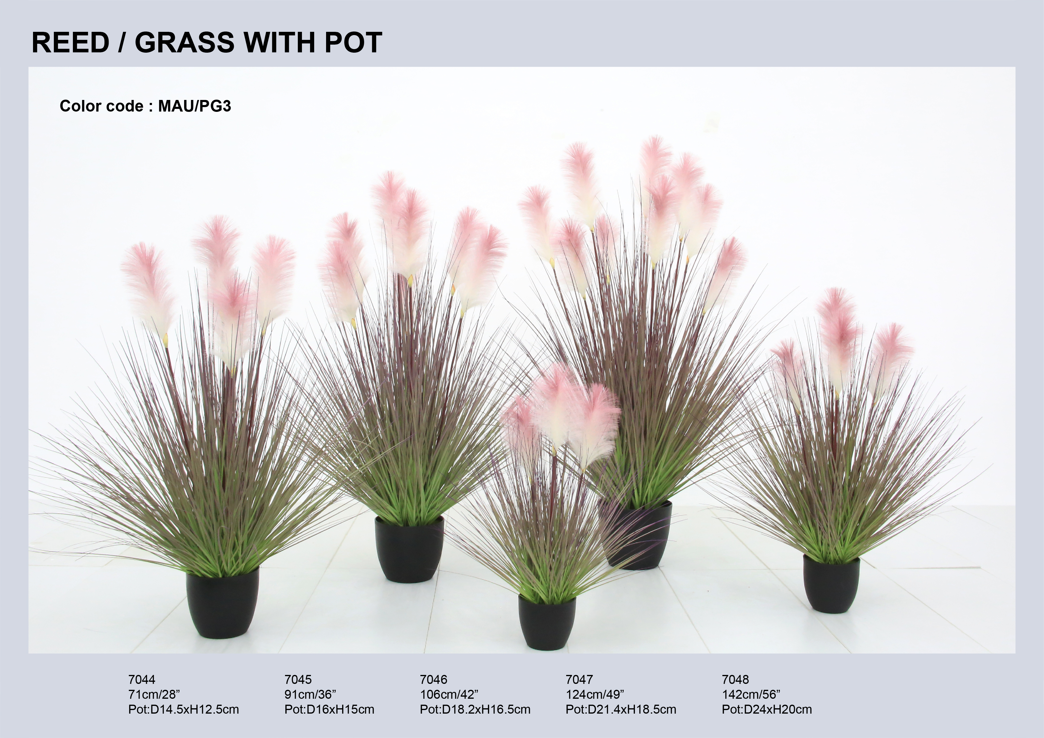 DONGGUAN ROSA IMPORT & EXPORT CO., LTD – vela aromática 2