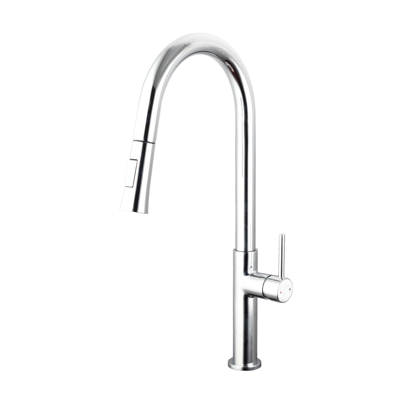 Kitchen Faucet