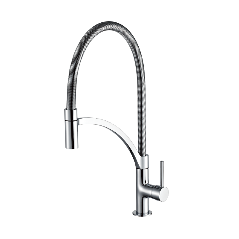 Kitchen Faucet