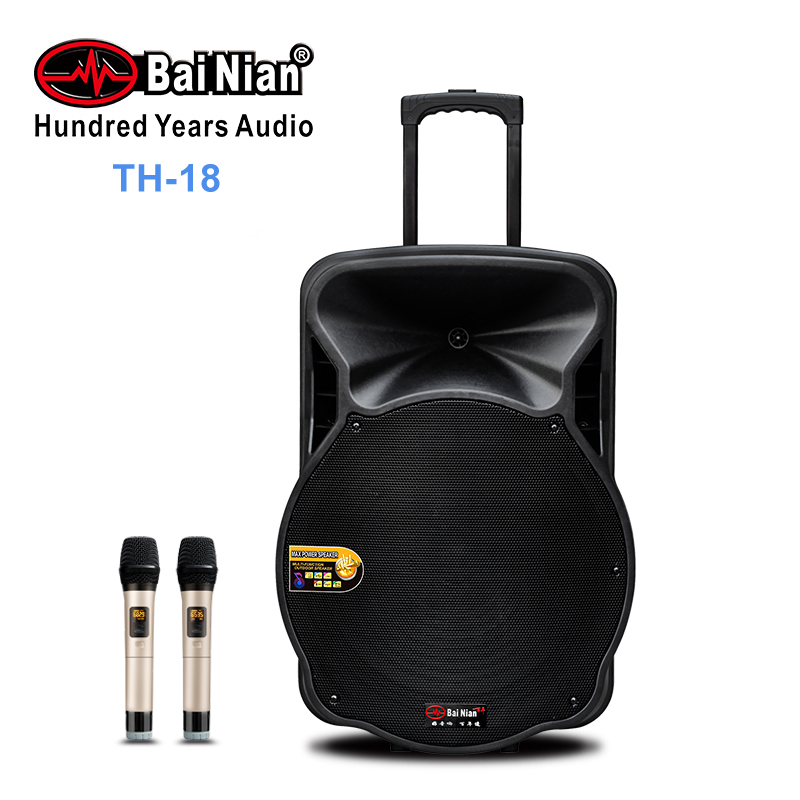 Trolley Speaker、18 Inches Outdoor Active Speaker with Wireless Mic FM USB TWS Bluetooth