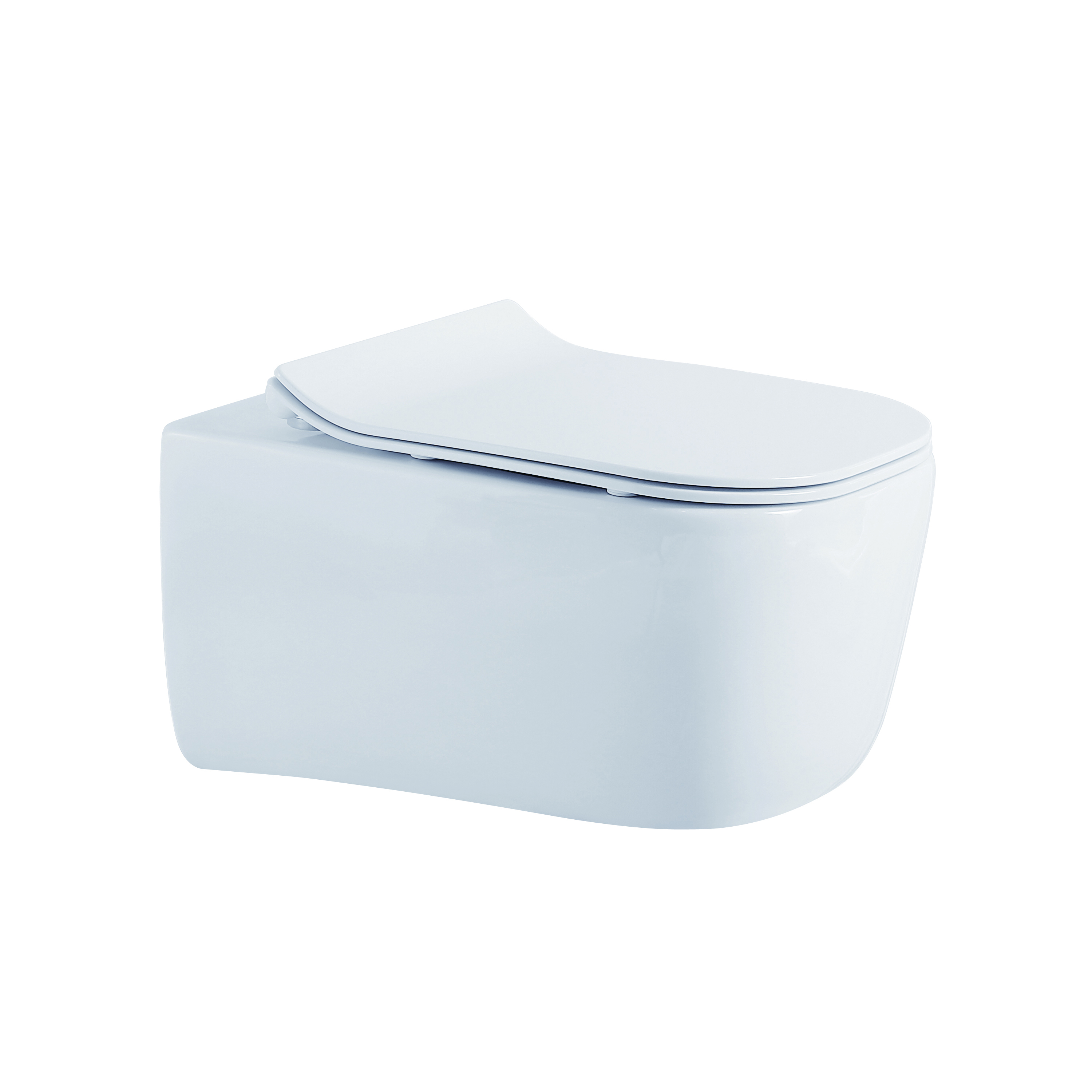 Wall hung toilet