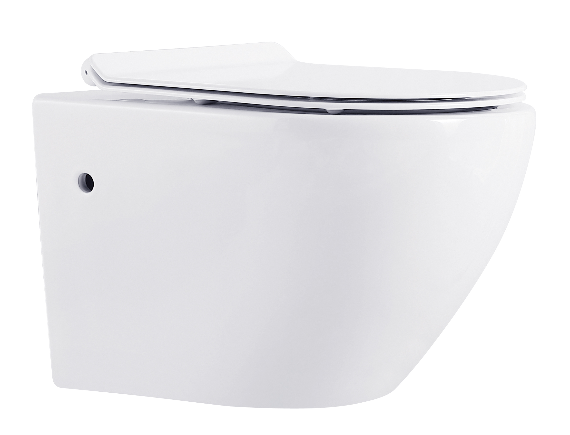 Wall hung toilet