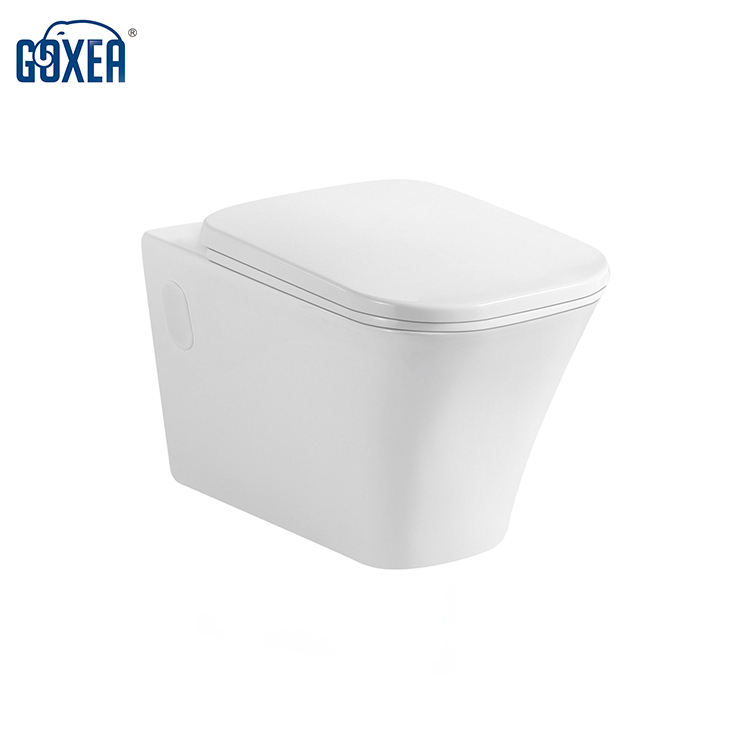 Wall hung toilet