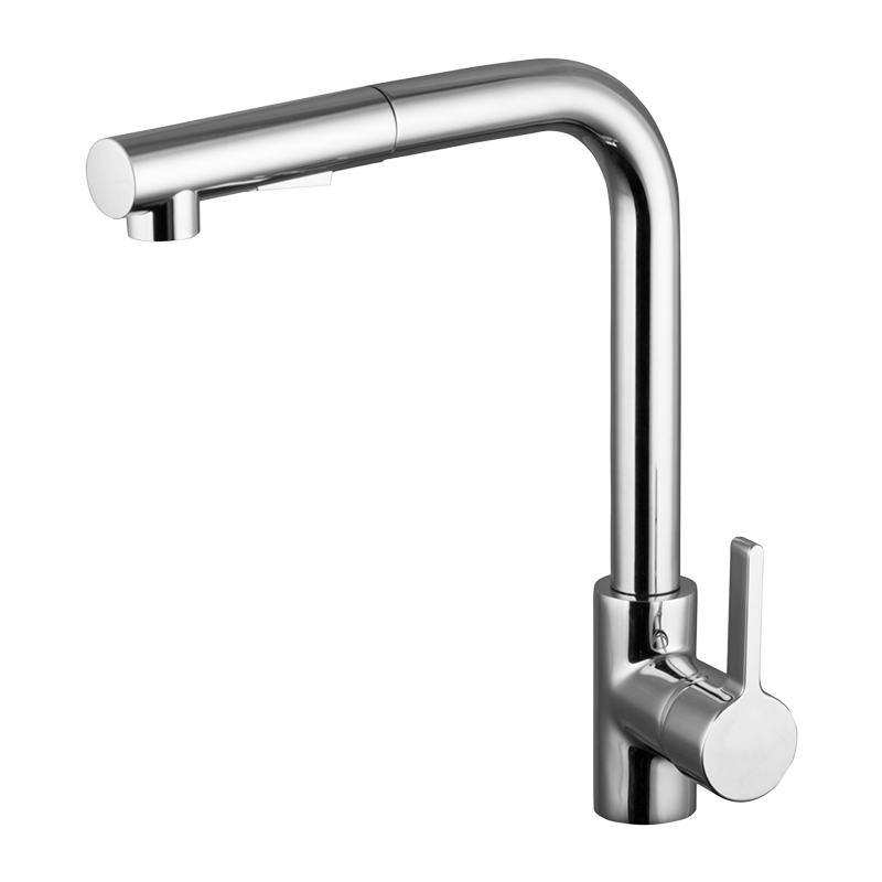 Kitchen Faucet