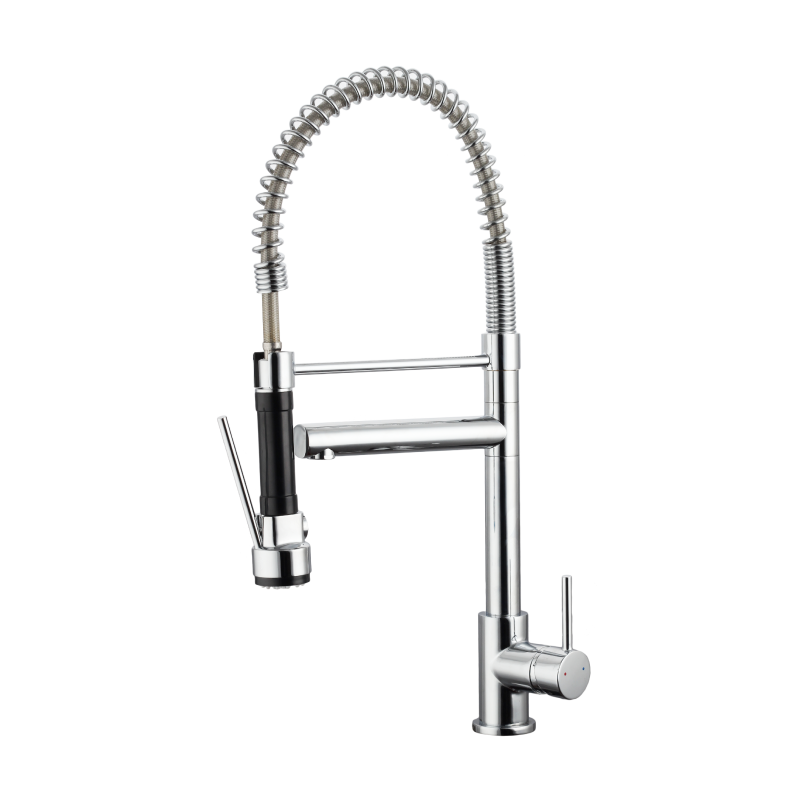 Spring Dual Spout Pull Down Kitchen Faucet