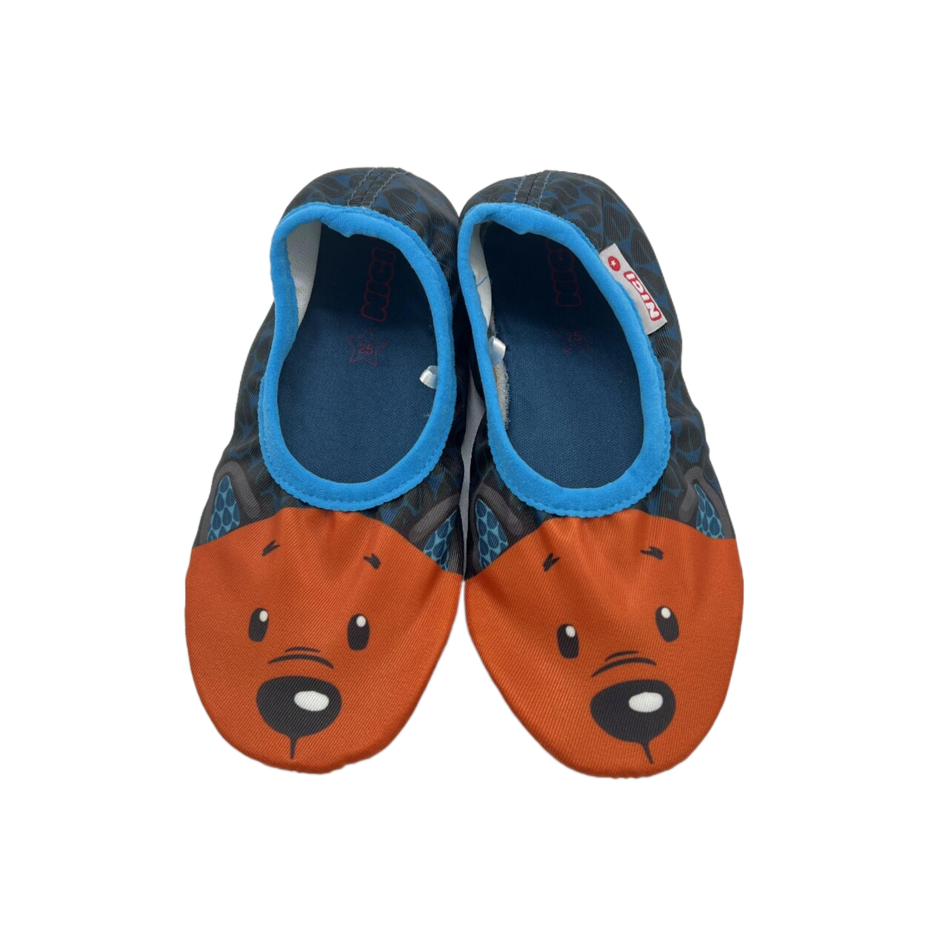 Gym Shoes/Ballets