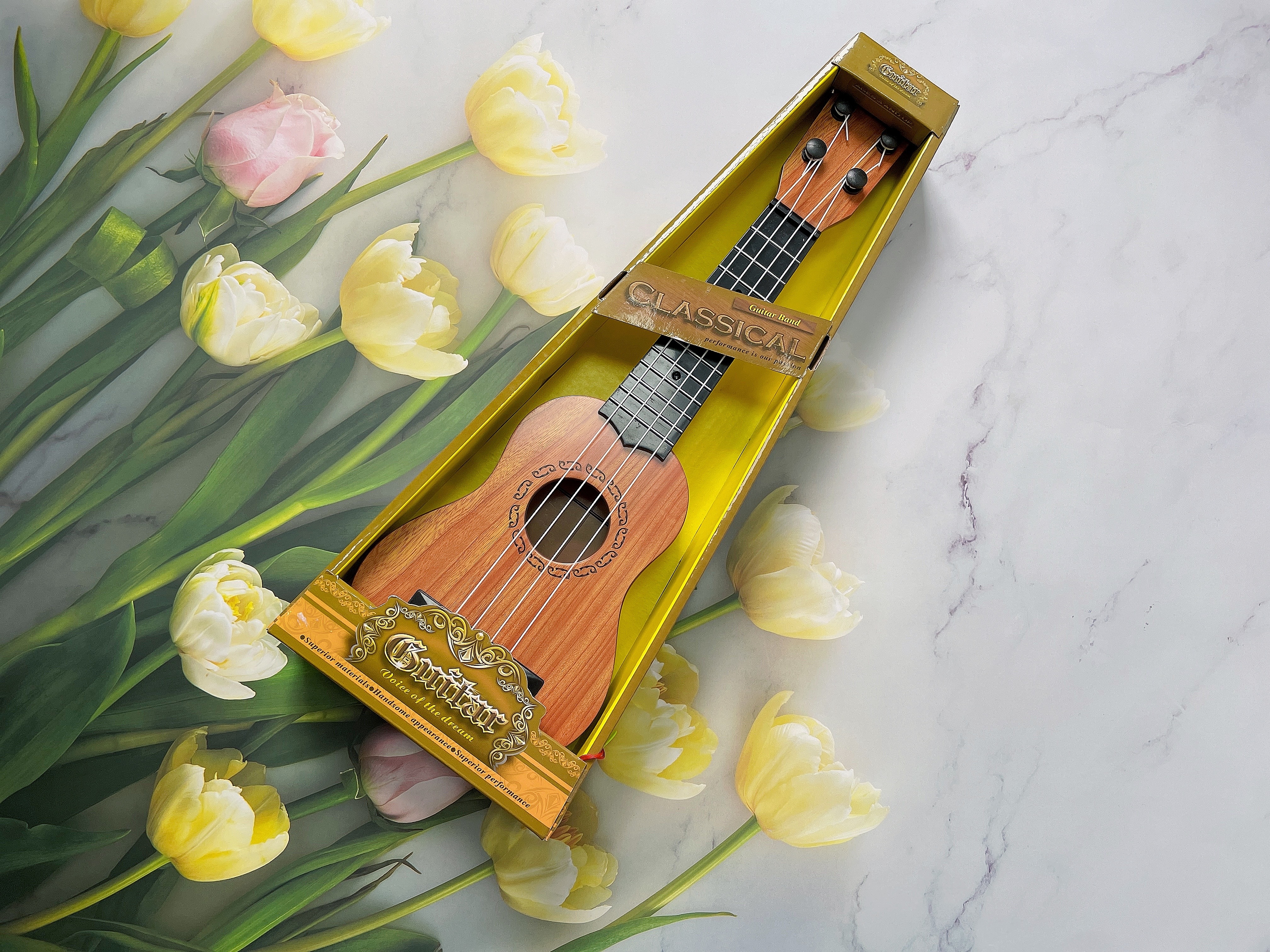 Guitar Ukulele