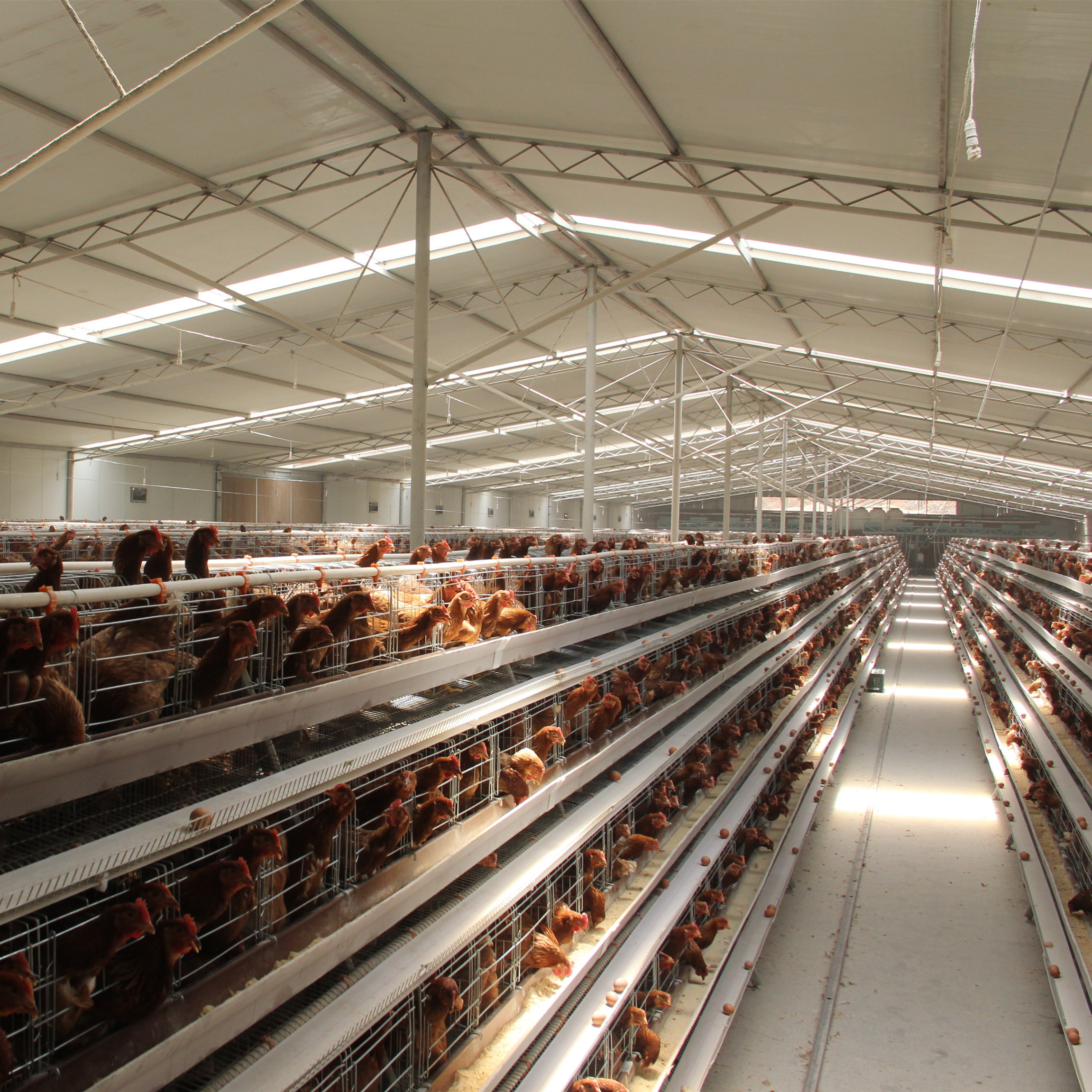 Henan Jinmuren Machinery Equipment Co.,Ltd – molde de inyección 1