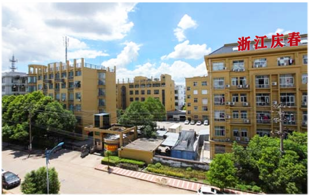 Yiwu Qingchun Technology Co., Ltd. – Other home decorations 1