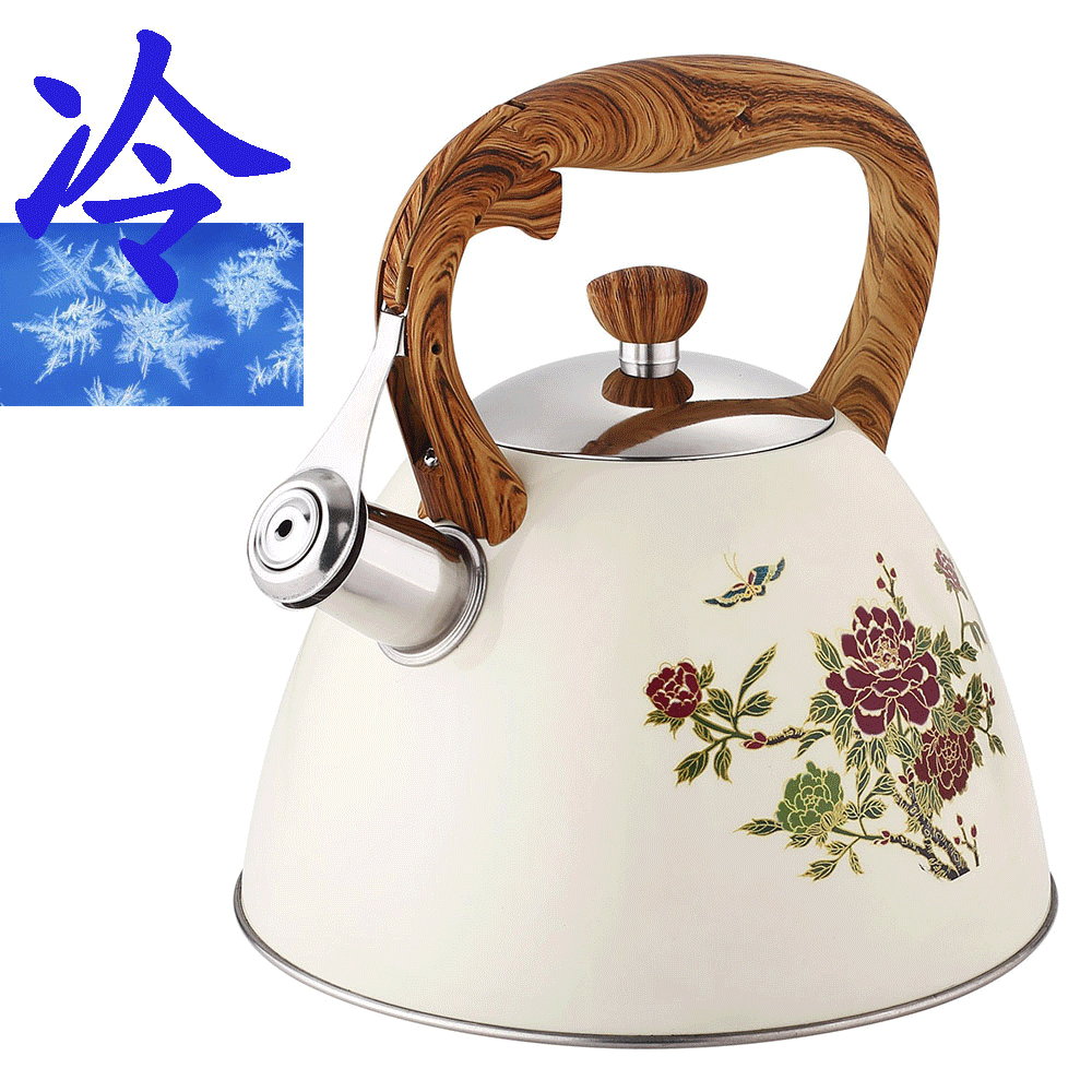 3L color change stainless steel whistling kettle