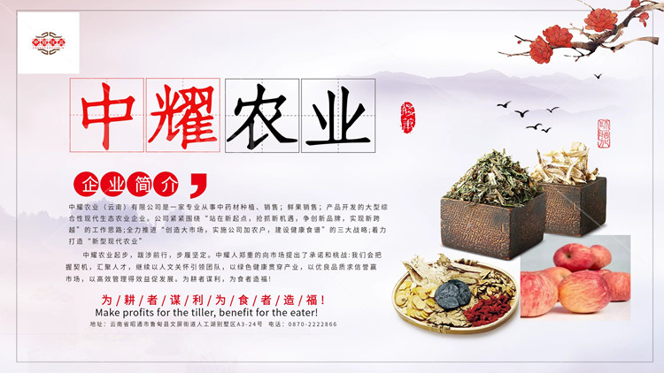 Zhongyao Agriculture (Yunnan) Co., Ltd. – Fresh apple 1