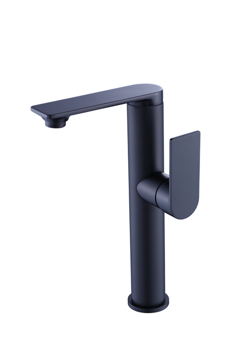 Kitchen Faucet